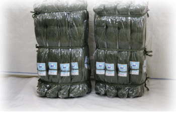 PE TWINE