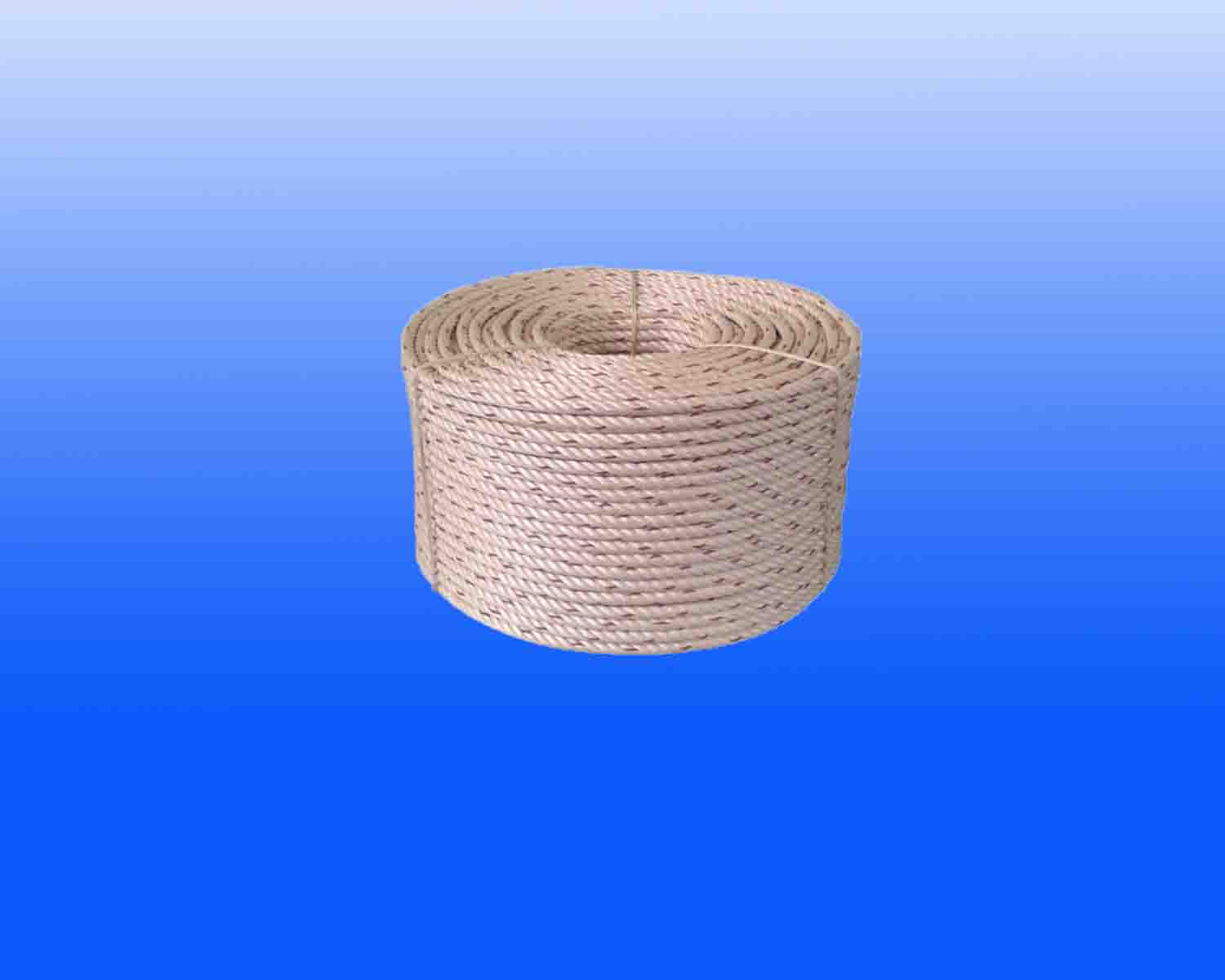 PP ROPES