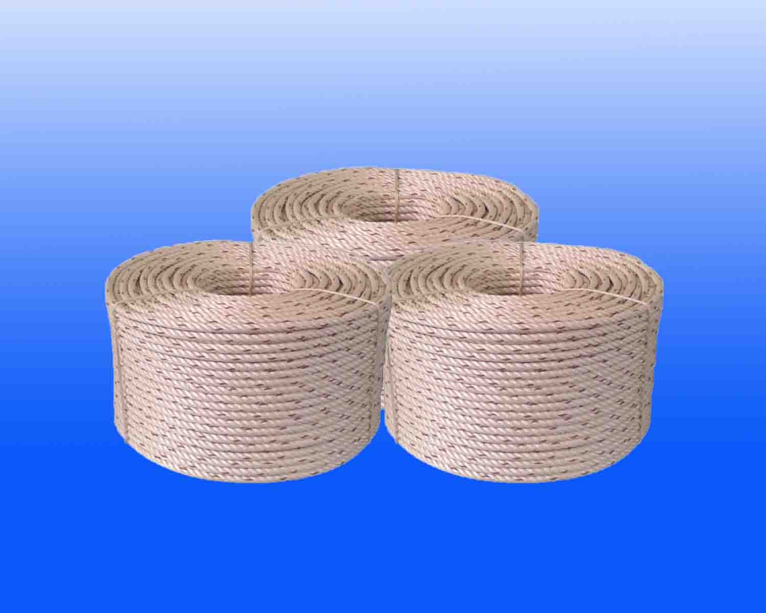PP ROPES