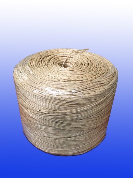 PP ROPES