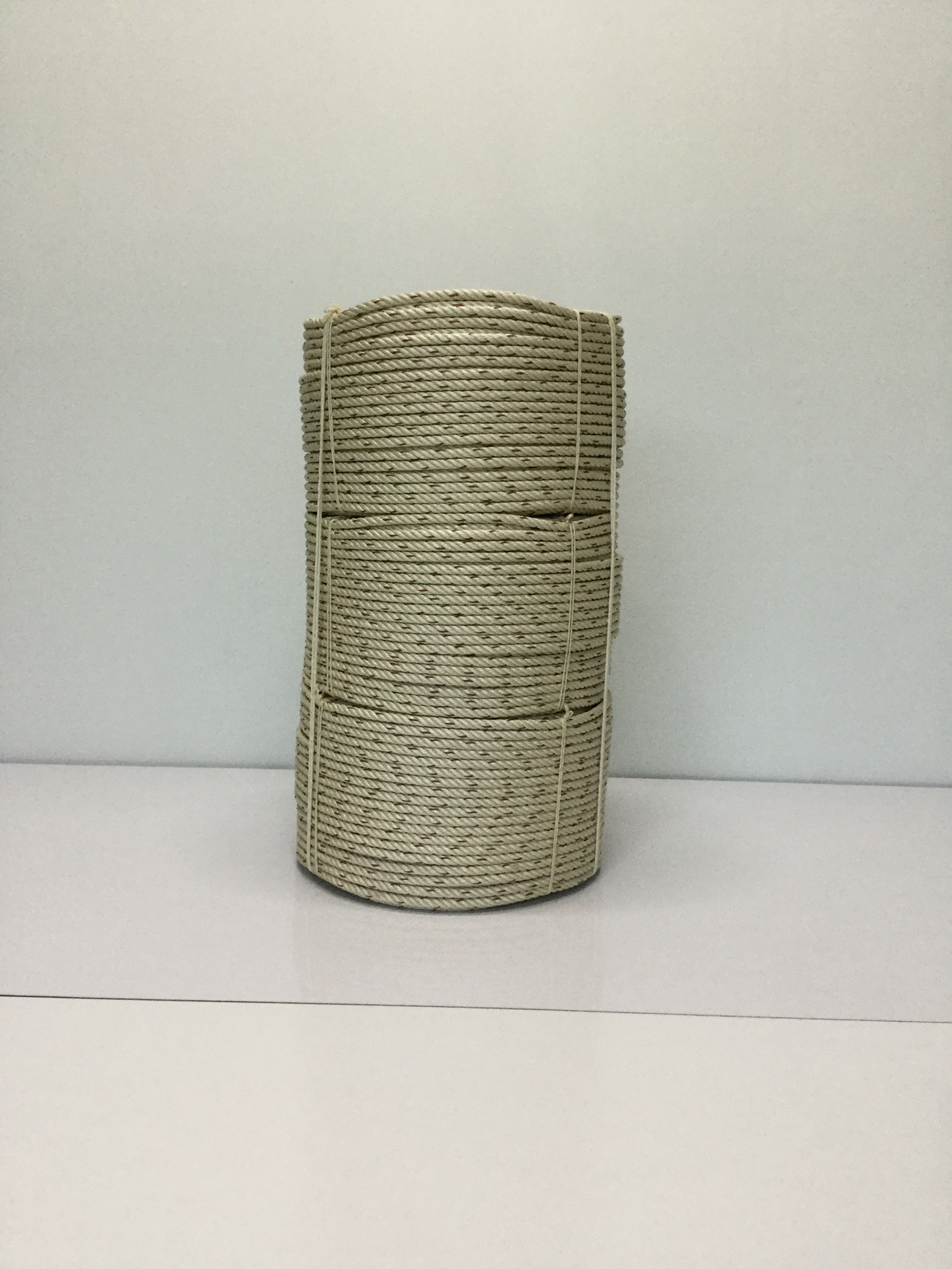 PP ROPES