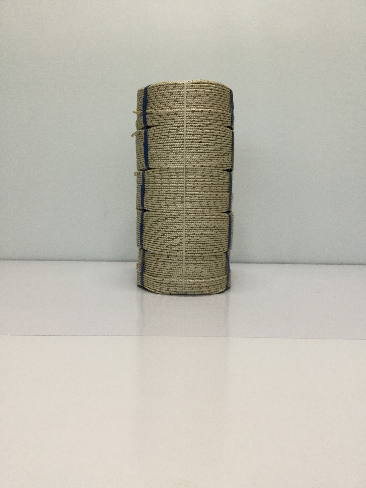 PP ROPES