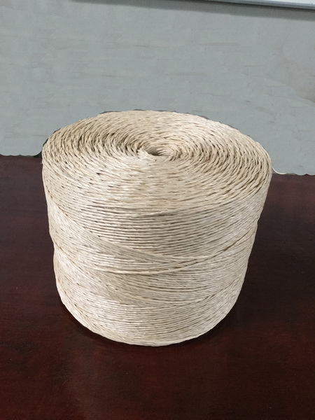 PP ROPES