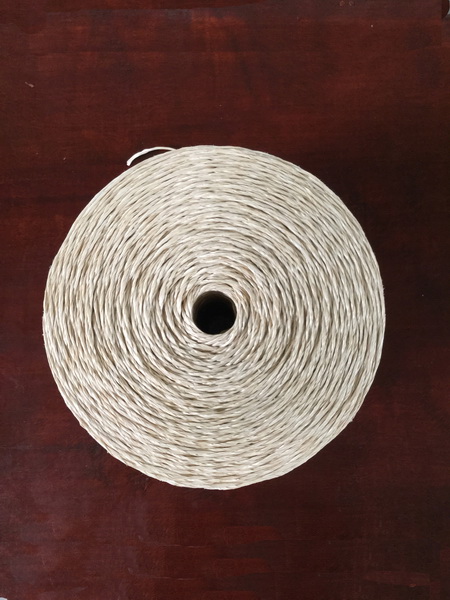 PP ROPES