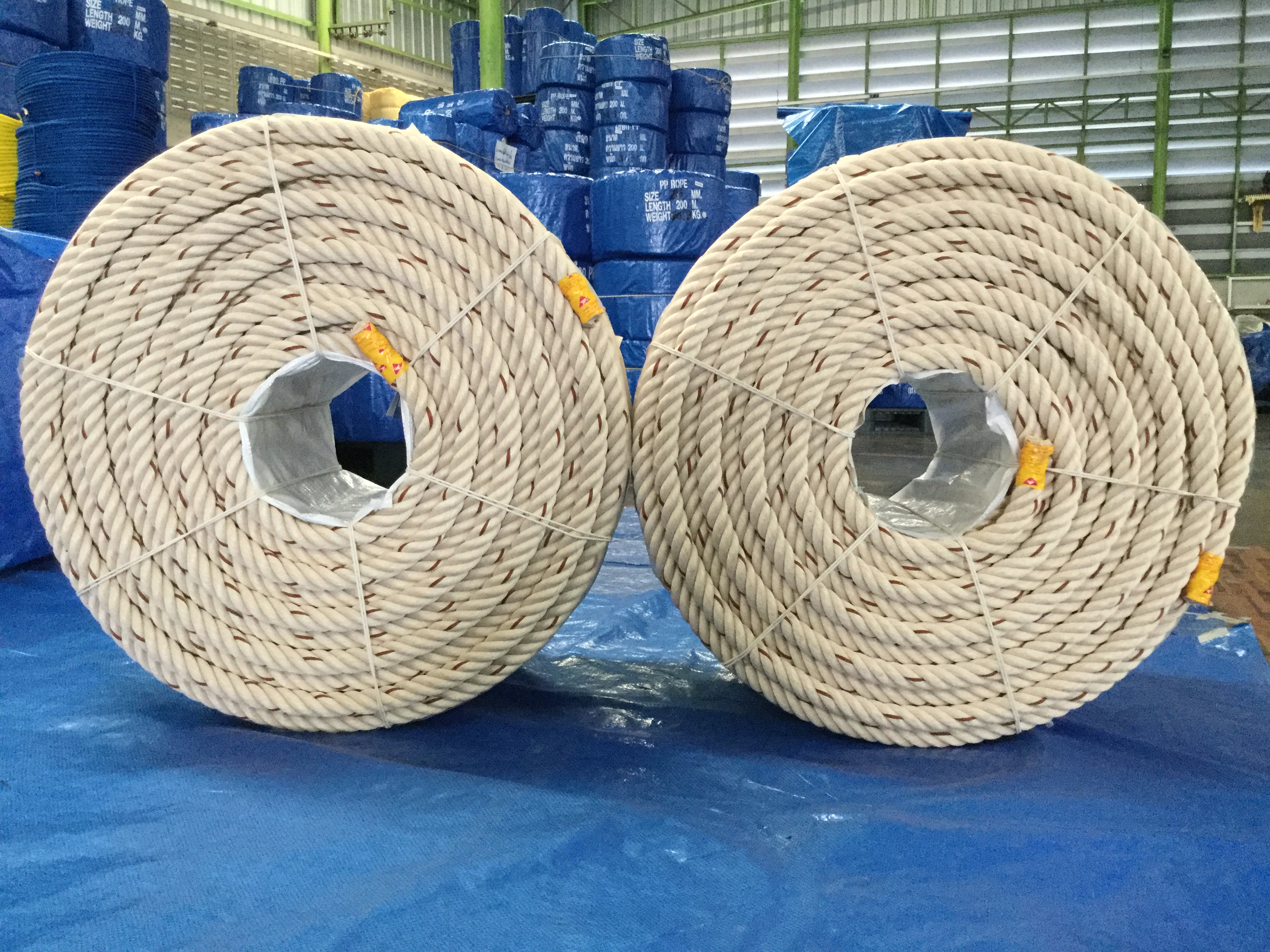 PP ROPES