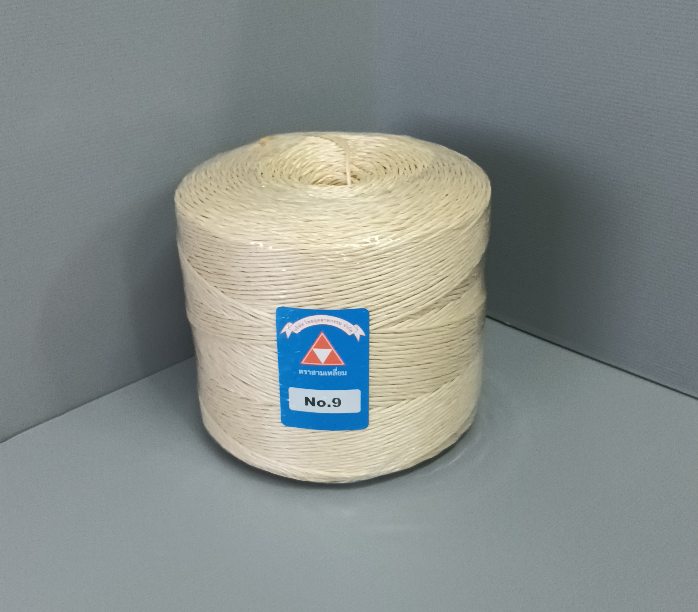 PP ROPES