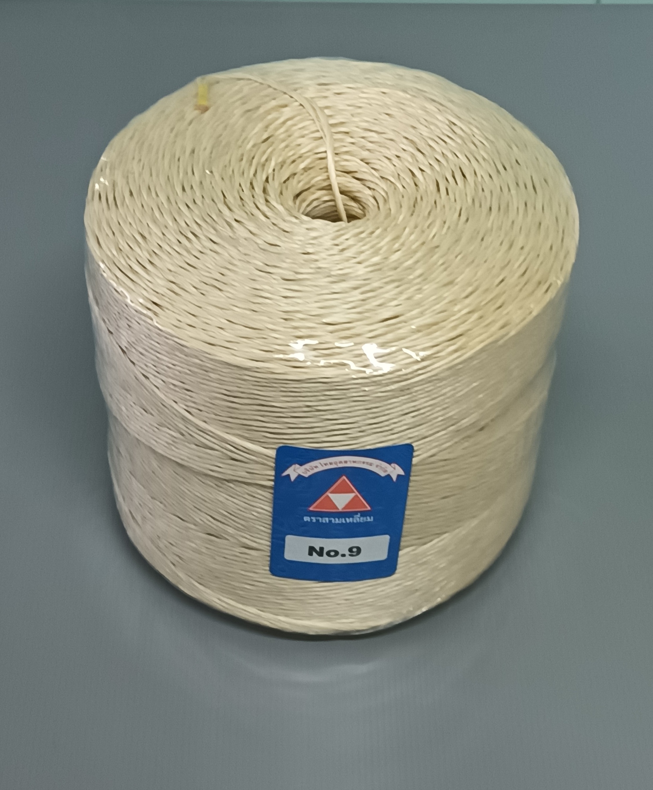 PP ROPES