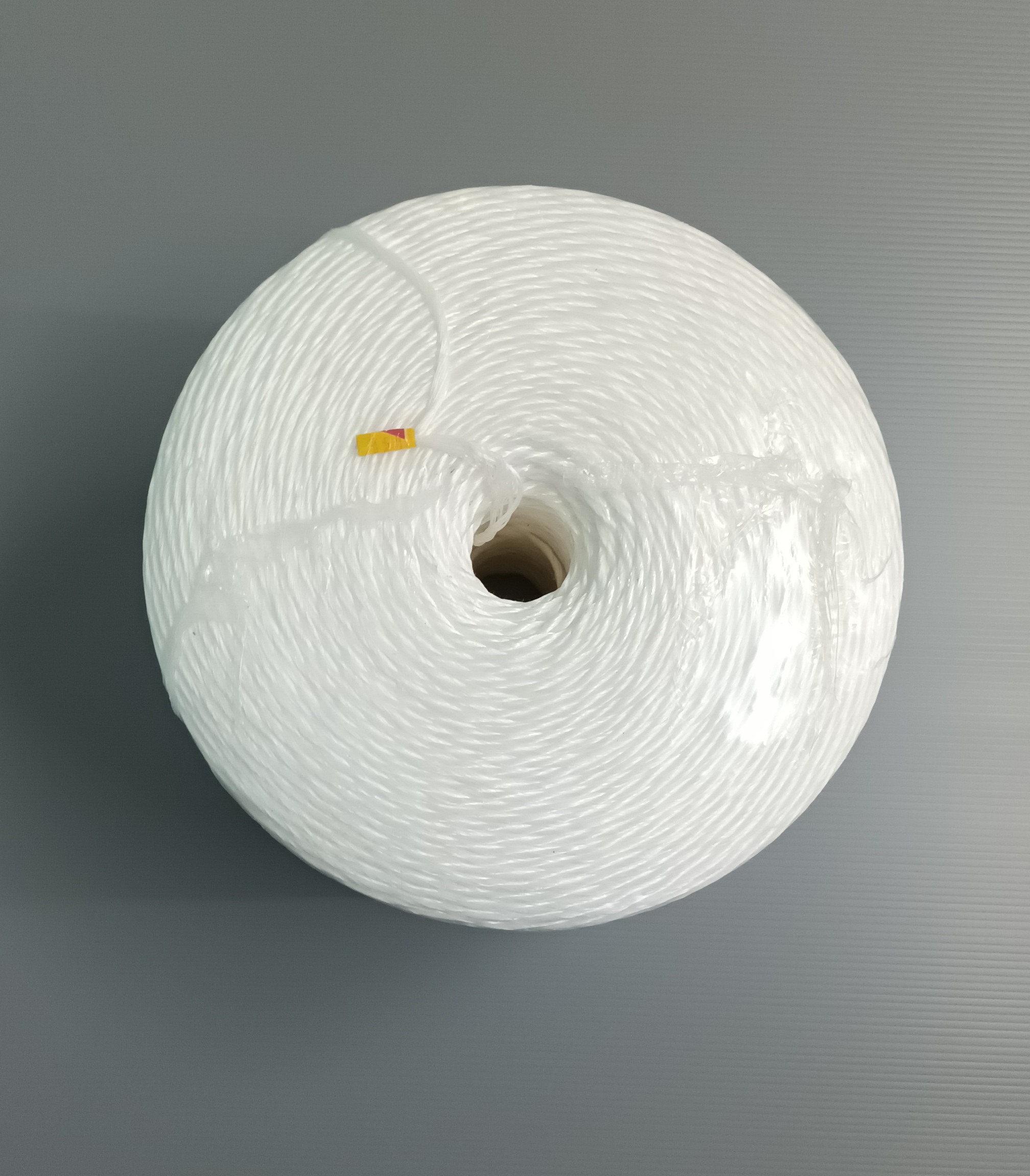 PP ROPES