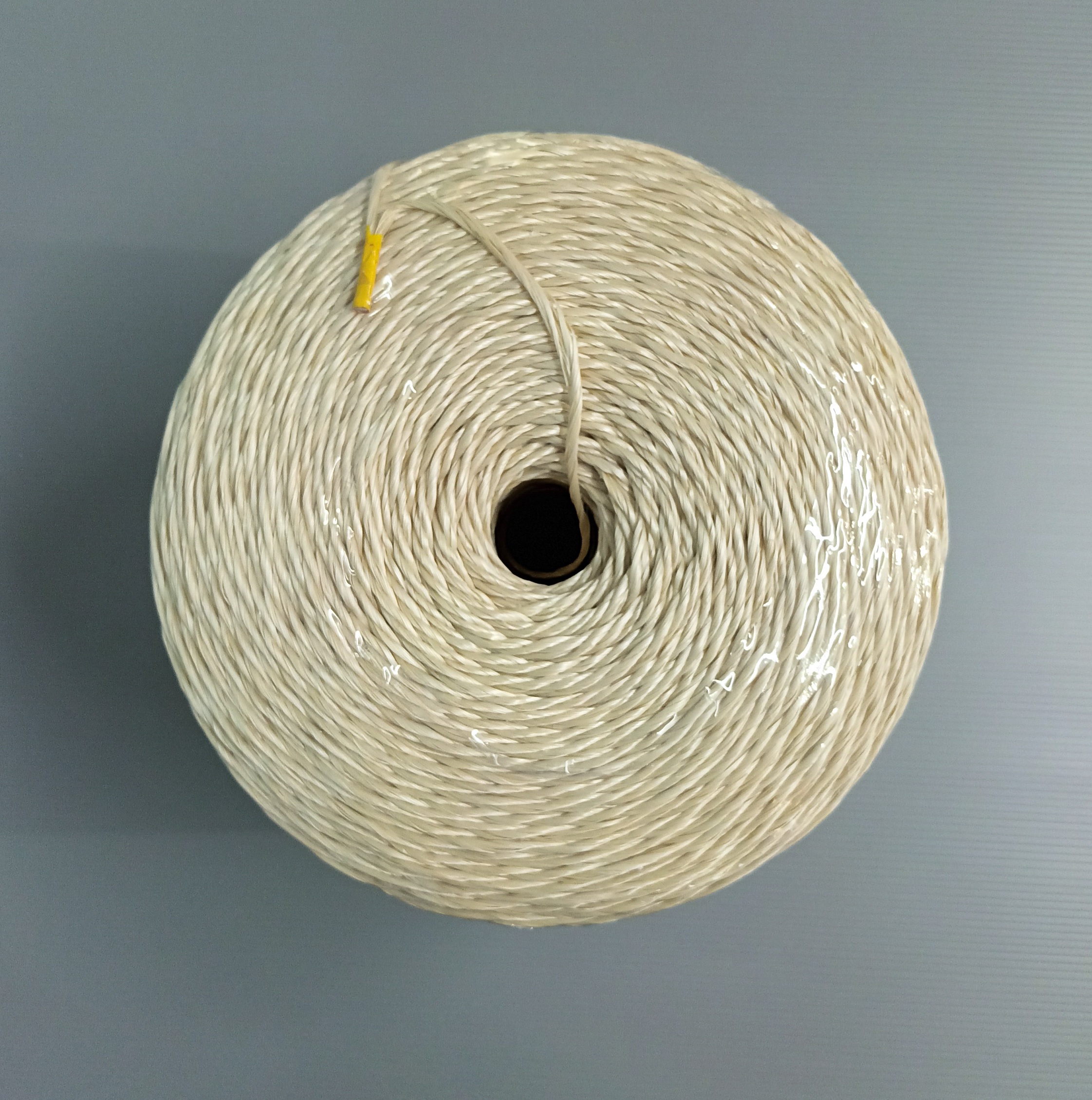 PP ROPES